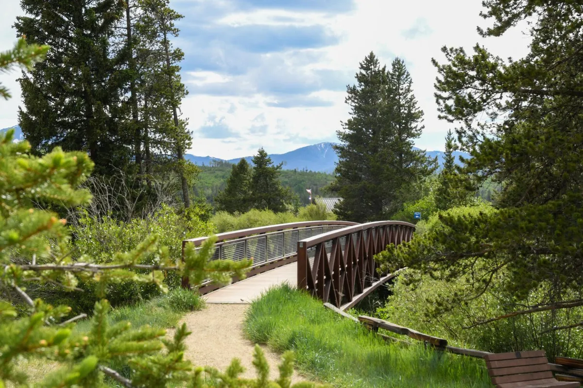 A serene outdoor setting with a metal footbridge surrounded by lush greenery and a mountain backdrop. The area invites walking, nature observation, and exploration, ideal for pet-friendly outings.